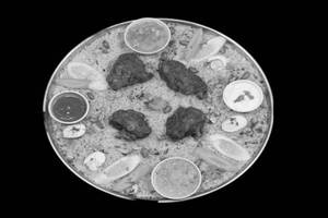 Mutton Fried Mandi