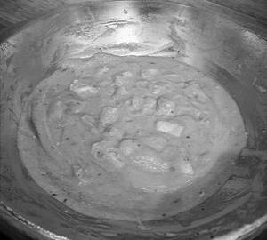 Bihari Shahi Paneer [Serves 1, 300 ML]