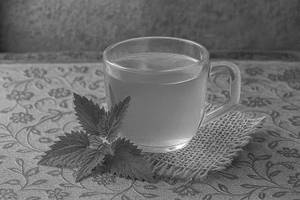 Green Tea [Herbal tea served with 2 Millet Cookies]