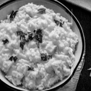 Curd rice