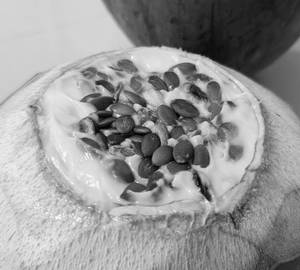 Anjeer Yogurt With Protein Brownie (100 Gms)                   