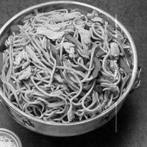 Chicken Hakka Noodles