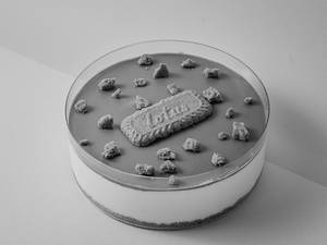 Lotus Biscoff Cheesecake- Celebration Tub