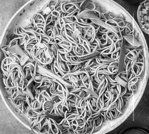 Veg Manchurian Noodles
