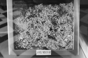 Aval Mixture