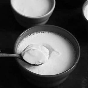 Curd Plain