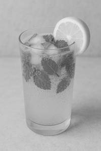 Pudina Lemon Masala Soda (350ml)