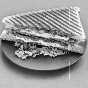 Veg sandwich
