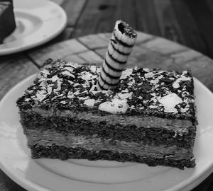 Wild chocolate pastry