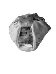 Zingi Parcel