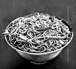 Veg schezwan noodles                                                                                                                                   