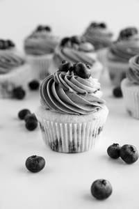 Blueberry Cupcake(2 Piece)