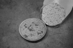 Sambar Rice