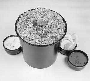 Mutton biryani family pack (serves 4 no's)