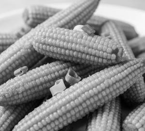Crispy Baby Corn