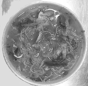 Thukpa Non-veg
