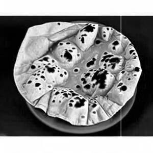 Tawa Roti