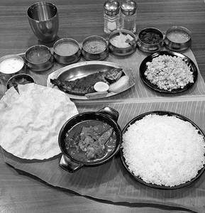 Fish Meals