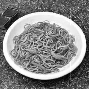 Sukhi special paneer noodles