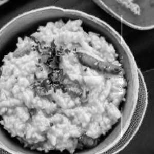 Curd Rice