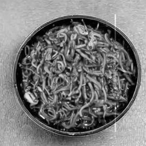 Dhaba Chilli Noodles [Fish]