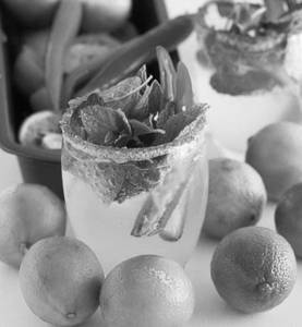 Chilli Mint Mojito
