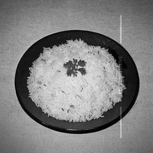 White Rice [Fish]