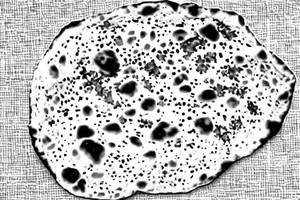 Kashmiri Naan