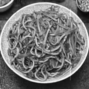 Hot Basil Noodles [Veg]