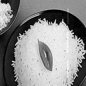 Steamed Rice