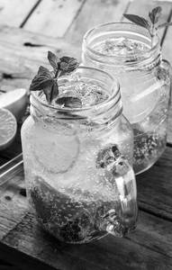 Mint Mojito