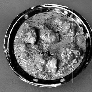 Chicken Nawabi