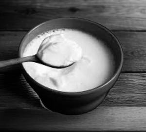 Plain Curd