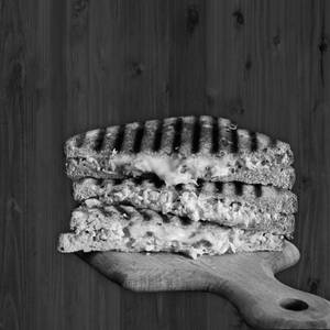 Cheese sandwich
