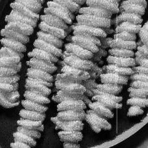 Golden Fried Babycorn