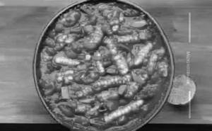 Baby corn chilli