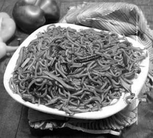 Mixed Schezwan Hakka Noodles