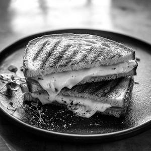 Cheese Grilled Sandwich