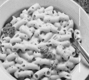 Veg Macaroni