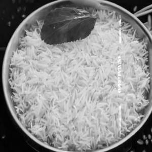Extra Rice [White]
