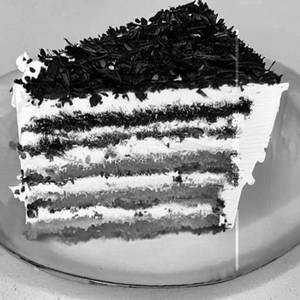 White Forest Pastry