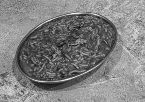 Sev Lapeta