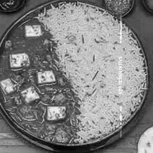 Schezwan Rice Paneer
