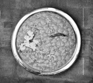 Dal fry