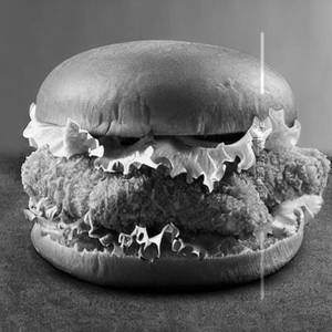 Maharaja burger