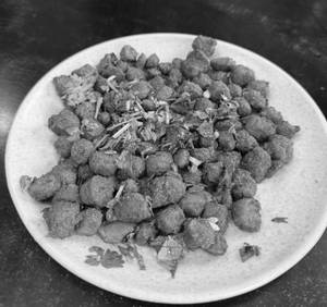 Crispy Nutri