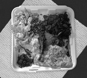 Lunch Box - Fish