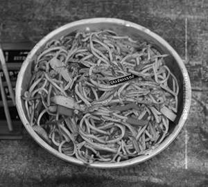 Chilli garlic noodles