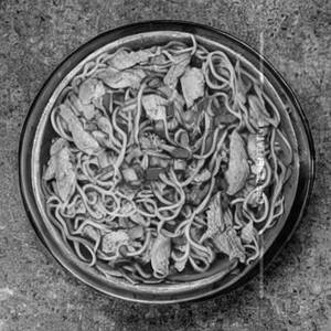 Chicken Noodles