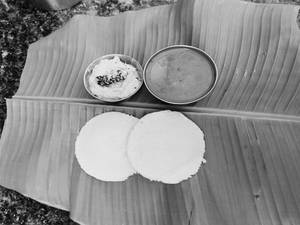 Idli Plate-jain